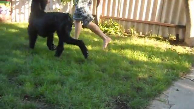 Первая стрижка смотреть онлайн