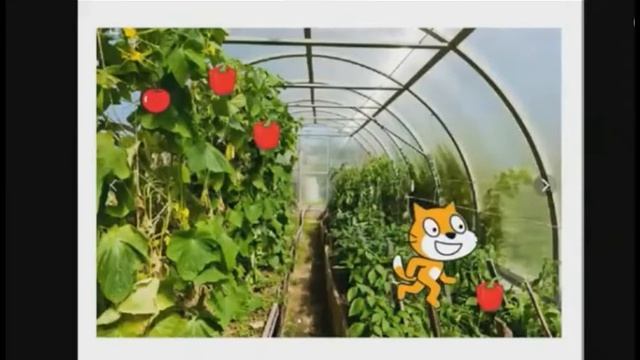 Фетисова С.А. Создание проекта «Экскурсия по фермерскому хозяйству» смотреть онлайн