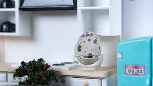 Самые Маленькие Сырники в Мире! ? Как их приготовить? ?