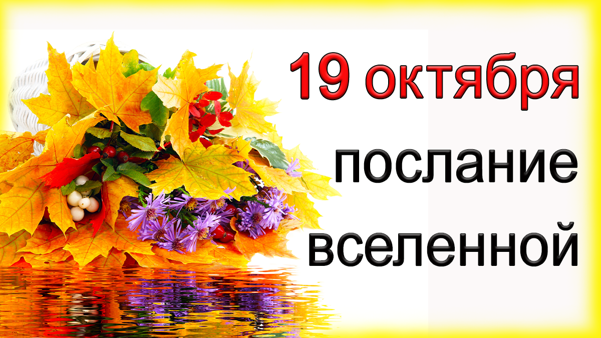 ПОСЛАНИЕ ВСЕЛЕННОЙ на 19 октября.*Эзотерика Для Тебя*