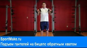 подъем гантелей на бицепс обратным хватом