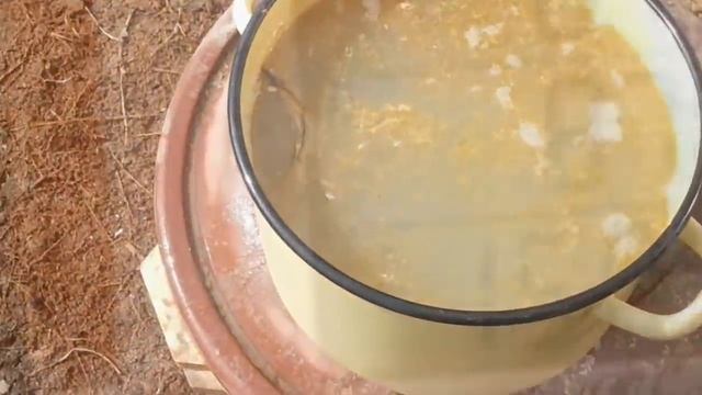 Вьетнамские свиньи. Плюсы и минусы. Особенности