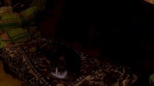 Построить дешевый дом своими руками