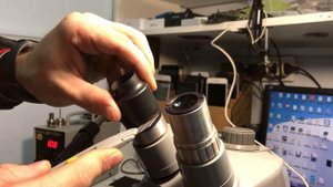 Наглазники своими руками из термоусадки.