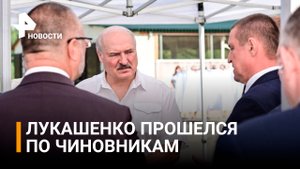 "Разбестились до крайности": разнос от Лукашенко виновных в падеже скота / РЕН Новости
