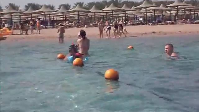 Egypt Utyata