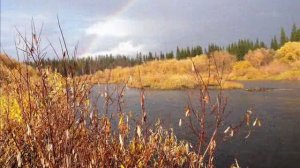 Коми песня "Тöдса пилот" Komi Song "Tödsa pilot"