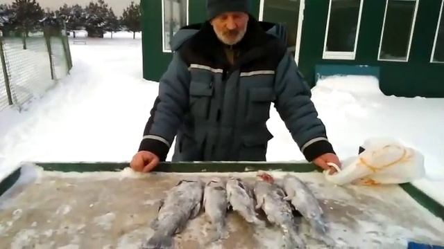 20.01.21 рыбалка Гарантия смотреть онлайн