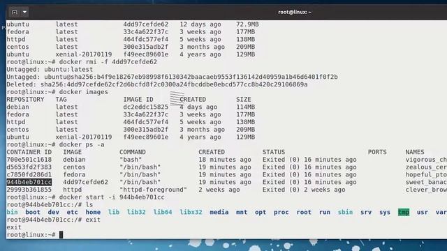 APRENDE a gestionar IMÁGENES y CONTAINERS Docker смотреть онлайн