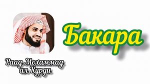 2 Бакара, Раад Мохаммад ал Курди