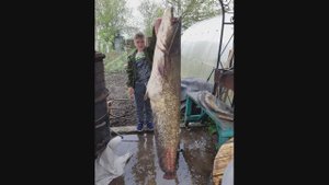 Охота, Рыбалка