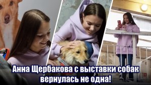 Анна Щербакова с выставки бездомных собак вернулась не одна :)