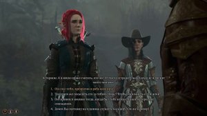 Baldur's Gate 3 Астарион и Гандрел