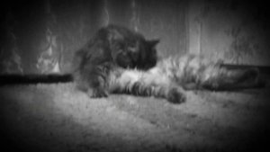 Как моются гимнастки👯🏃🏼♀️🏃🏼♀️😸😸😸