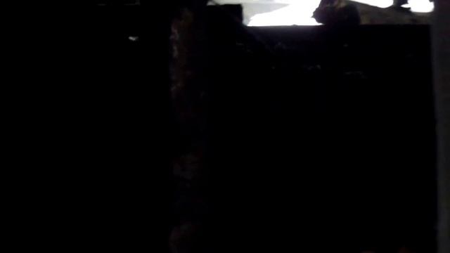 Поиск клада Чердачный коп