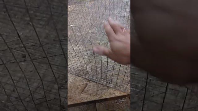 Сборка сетчатой клетки для кроликов ч 3