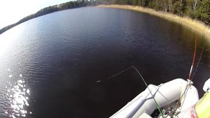 Редкие приманки Lucky Craft - Lightning Pointer 110 и Sasara Minnow 105