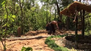 Постройте самый красивый туннельный колодец и дом из глины в глубоких джунглях