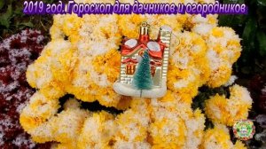 2019 год . Гороскоп для дачников и огородников