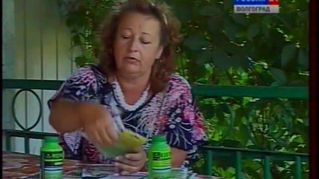 Что посадить в июле. Салаты:салат-латук,кресс-салат