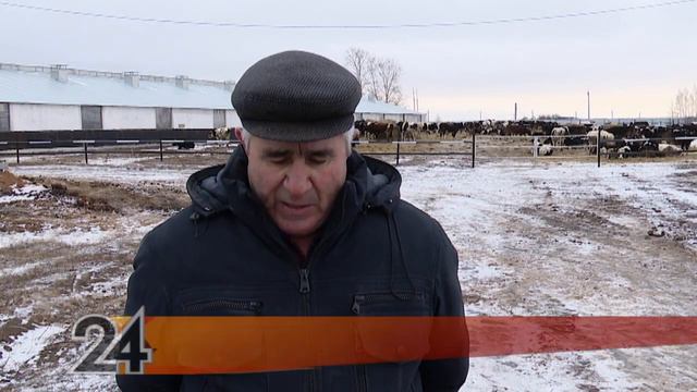 В Нурлате подвели итоги годовой деятельности отрасли животноводства района смотреть онлайн