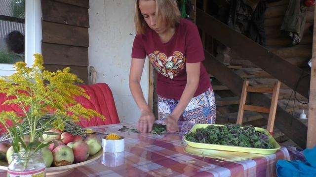 МУЖ НА СТРОЙКЕ, СЫН В САДИКЕ. Я В ДЕРЕВНЕ. смотреть онлайн