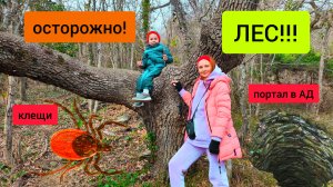 #95 Осторожно поход в ЛЕС ! Клещи и Портал в АД . Генуэзский колодец #широкаябалка #sumkiberry