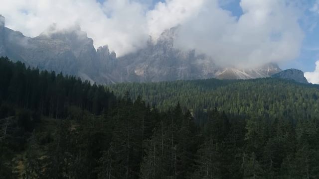 ПОСЛЕДНЕЕ ЖУТКОЕ СООБЩЕНИЕ ТУРИСТОВ: "НАПАЛ МЕДВЕДЬ" смотреть онлайн