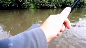 ЛОВЛЯ ЖЕРЕХА И ГОЛАВЛЯ НА КРЕНКИ !!! Golden Mean Hellion .Smith Camion Magnum. #Goldenmean #smith