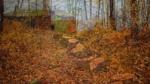 "ИЗ ЗАГОРОДНЫХ ВПЕЧАТЛЕНИЙ"... (Фото Анатолия Шитова (СПб), музыка Абеля Корженёвского)