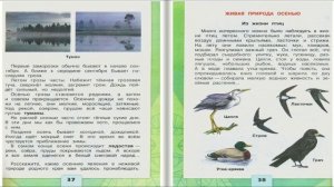 В гости к осени. Окружающий мир. 2 класс, 1 часть. Учебник А. Плешаков стр. 36-39
