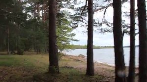 Берег Жижицкого озера в Подозерье (май 2012 г.)