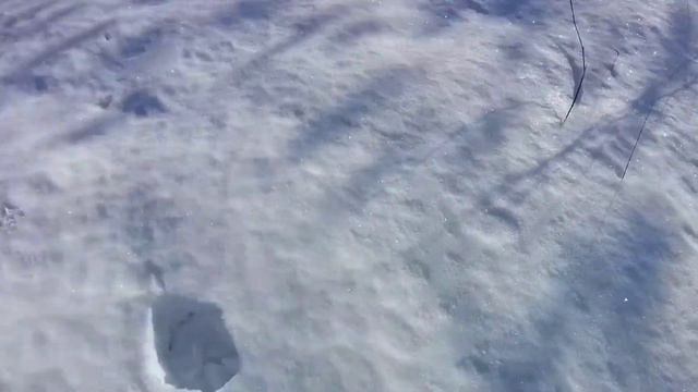 6 февраля 2022 г.Зайцев нет.... смотреть онлайн