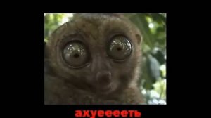 Сижу жду зарплату