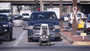 World's Most Obedient Cat - Aaron's Animals