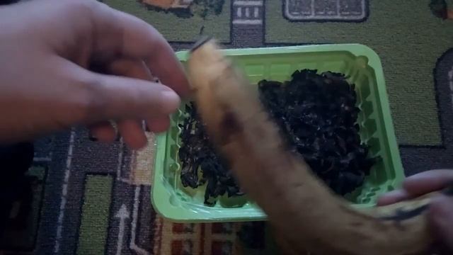 Банановая кожура -удобрение для роз