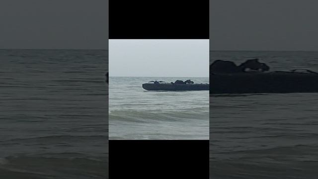 Лоо/Что он делает?