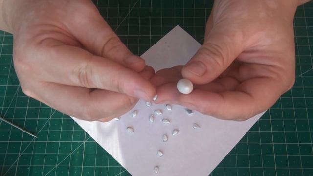 ЭХЕВЕРИЯ * КАМЕННАЯ РОЗА * МОЛОДИЛО * СУККУЛЕНТЫ * ЗАЯЧЬЯ КАПУСТА * МАСТЕР КЛАСС смотреть онлайн