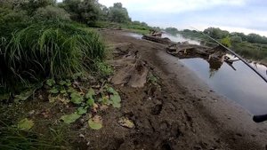Рыбалка в стариках реки Припять | Твичинг в жару
