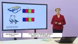 Обучение грамоте. 1 класс. Что такое родовое дерево? Звуки [c ] [c` ], буква Сс /25.11.2020/