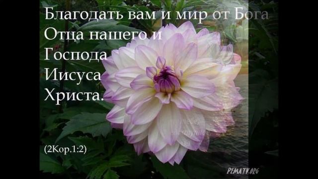 БОГ есть Любовь смотреть онлайн