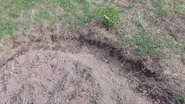 Дача 7 мая 2019 смотреть онлайн