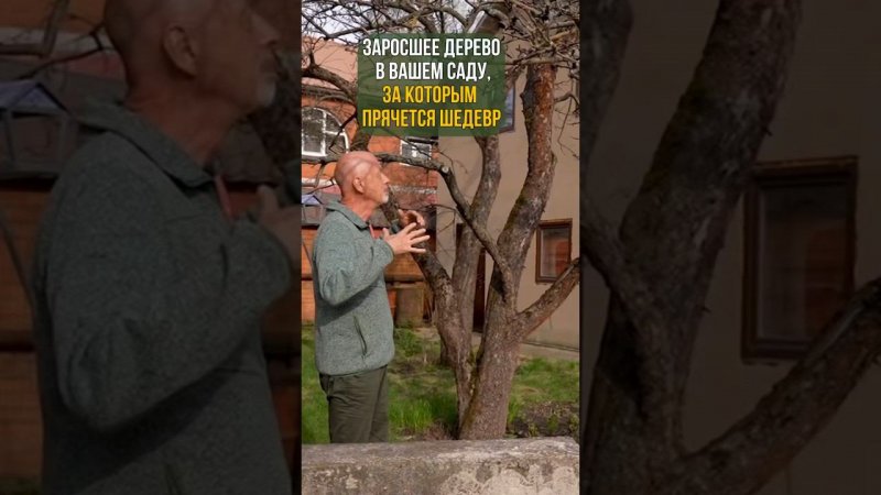 ШЕДЕВР В ВАШЕМ САДУ
