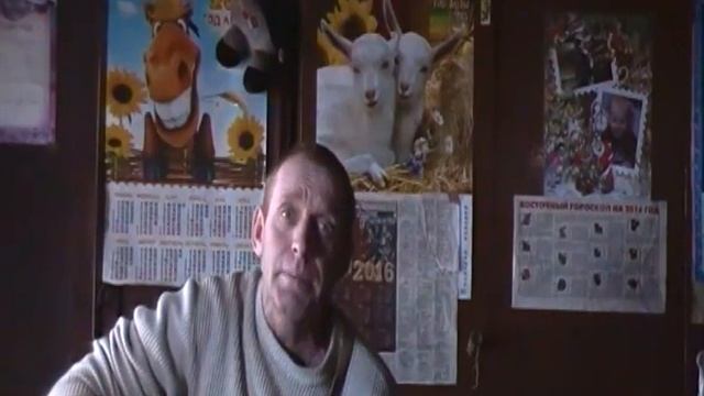 011 песня Про Золотую рыбку и Пескаря обыденного. Шансон. смотреть онлайн