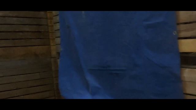 Красные "луки" 03.02.2022 Red onions 03.02.2022 смотреть онлайн