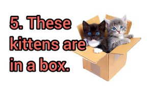 How to Pronounce These kittens are in a box in American English