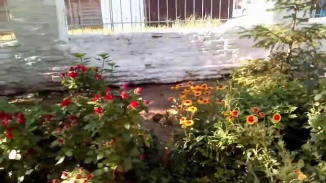 Праздник св.Троицы!!! Любовь долготерпит, милосердствует, любовь не завидует... смотреть онлайн