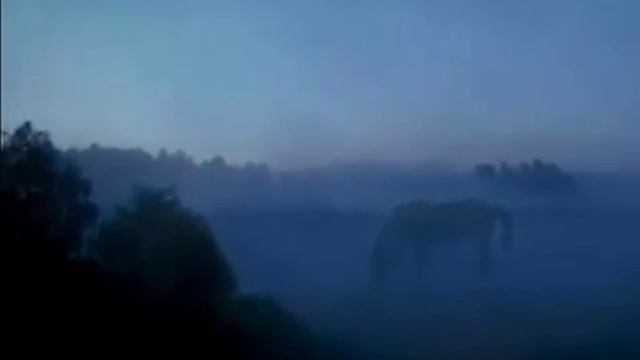 Выйду ночью в поле с конем смотреть онлайн