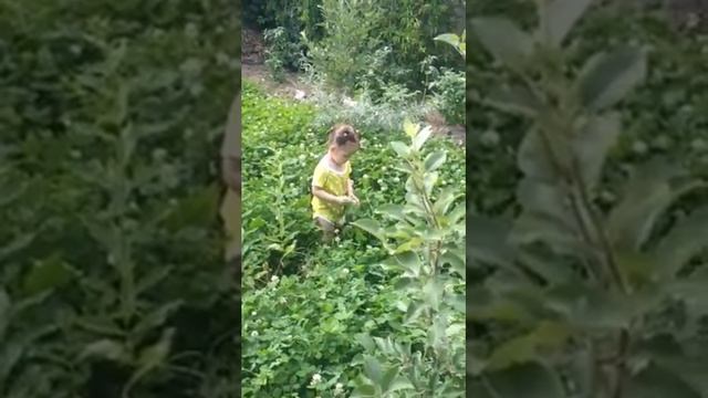 Эрика на даче у папы, лето, 2015 смотреть онлайн