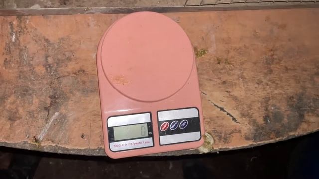 600 граммовый Техасский Бройлерный перепел. Взвешивание, выбраковка и подбор родительского стада.